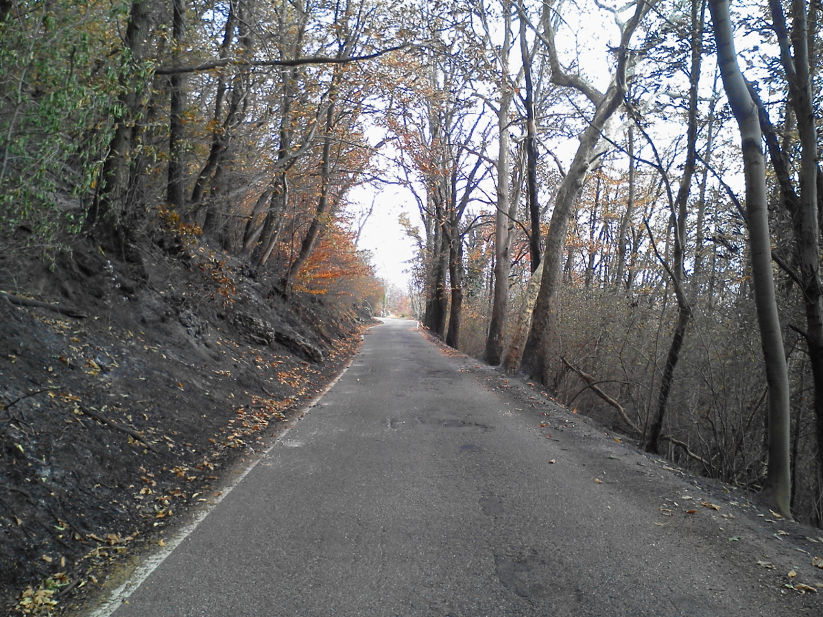 Un tratto di strada tra S. Francesco e le Ville